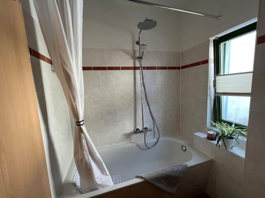 Traumwohnung Am Altstadt Hafen Stralsund Eksteriør billede